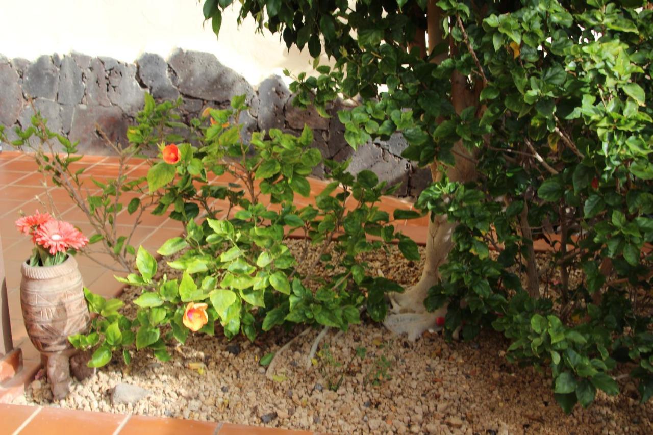 Balcon Del Mar En La Costa Διαμέρισμα Costa Del Silencio Εξωτερικό φωτογραφία